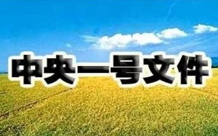 國(guó)家大力扶植農(nóng)業(yè)，惠農(nóng)政策是國(guó)家頭號(hào)大事